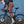 Men's Motion Bib Shorts - Gray Rose