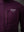 Men's Ultralight Jacket - Dark Purple