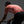 Men's Motion Jersey - Granite / Orange