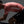 Men's Motion Jersey - Granite / Orange