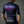 Women's Motion NEON Jersey - Midnight Blue