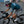 Women's SUPP. Jersey - Lagoon Green