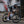 Women's Performance SUPP. Bib Shorts - Gray