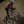 Men's Performance Fleece Long Sleeve Jersey 10-20℃ - Pink