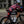 Men's SUPP. Fleece Bib Shorts 5-15℃ - Black (Includes Leg Warmers)
