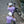 Women's Performance Fleece Long Sleeve Jersey 10-20℃ - Viola